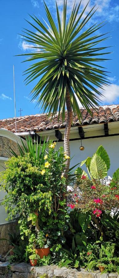 Hotel Posada Casa Juana San Cristóbal de Las Casas Buitenkant foto